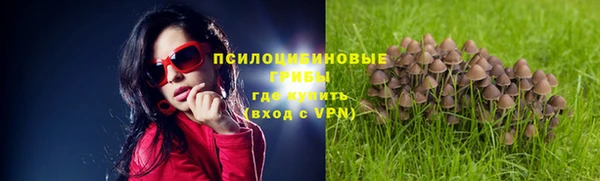 прущие грибы Магас
