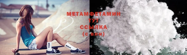 прущие грибы Магас