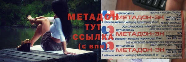 прущие грибы Магас
