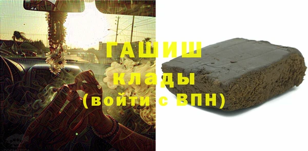 прущие грибы Магас