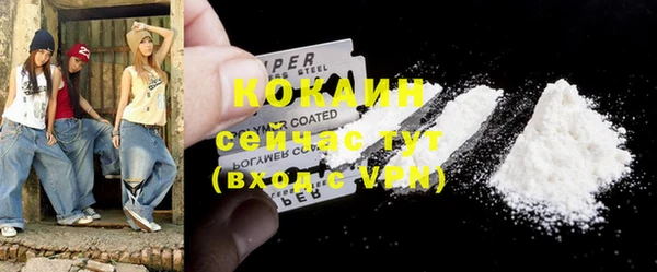 прущие грибы Магас