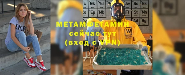прущие грибы Магас