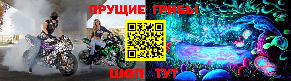 Галлюциногенные грибы MAGIC MUSHROOMS  Вход с VPN  Чайковский 