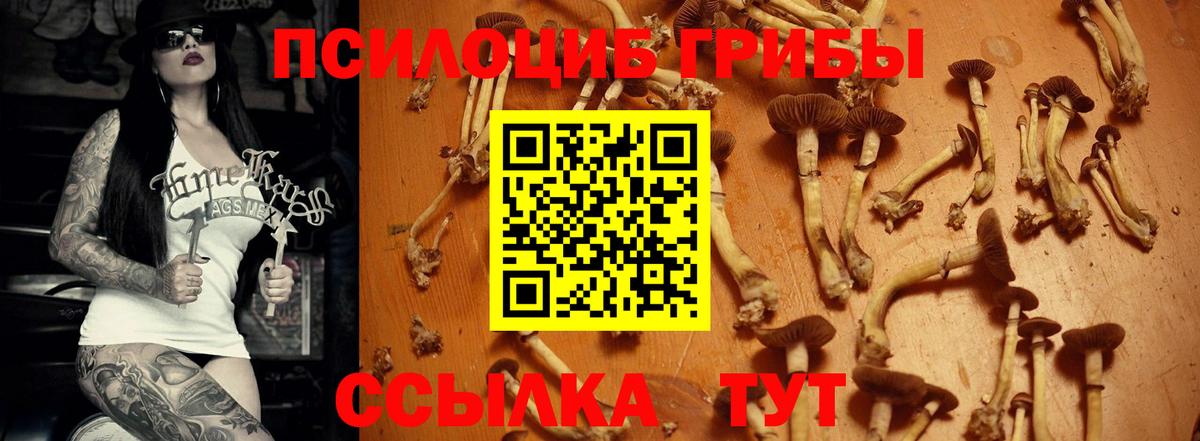Псилоцибиновые грибы MAGIC MUSHROOMS Чайковский